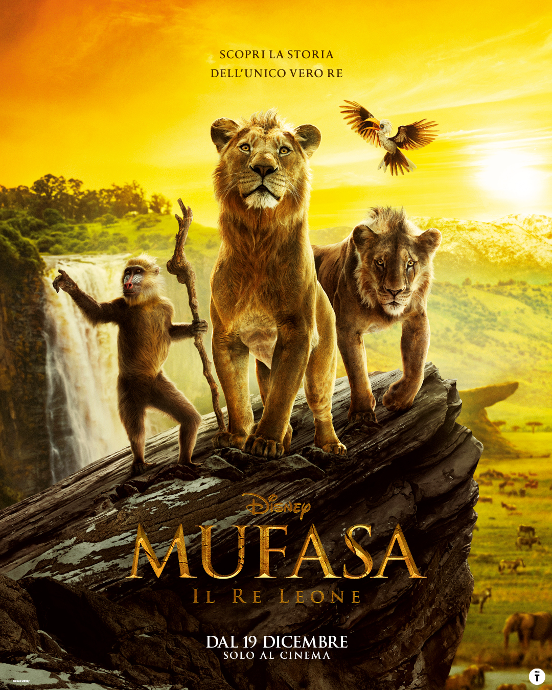 Mufasa – Il re Leone: Barry Jenkins e il suo primo live action targato Disney