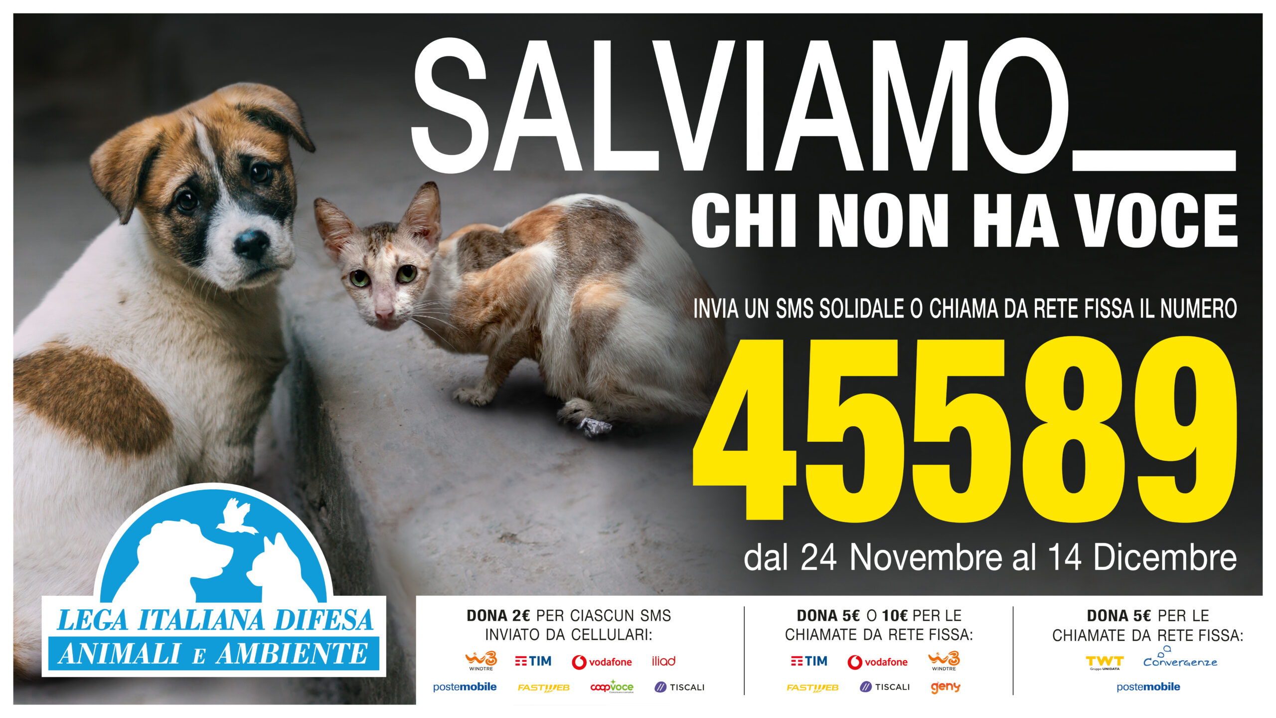 LEIDAA: fino al 14 Dicembre invia un sms solidale e salva gli animali