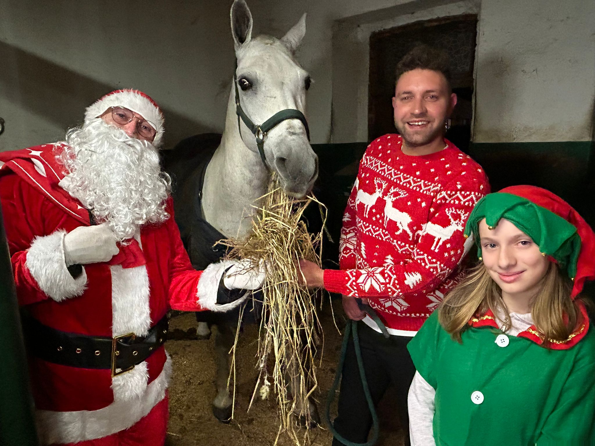 Babbo Natale porta i doni ai cavalli: un evento unico alla Scuderia Marina di Ozzero